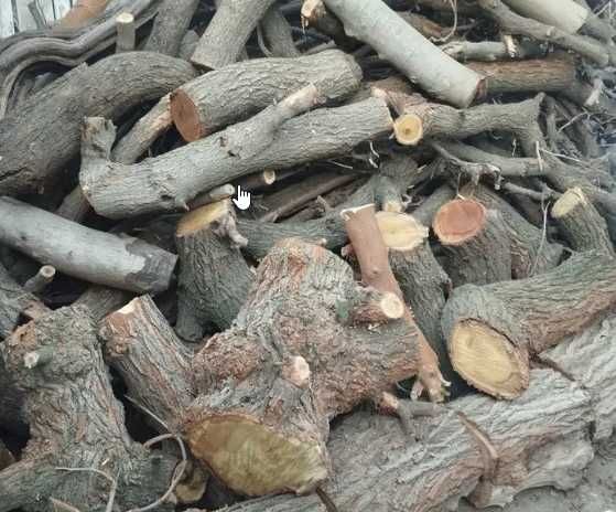 O'tin Утин Дрова отин otin sotiladi qalama bolor kunda