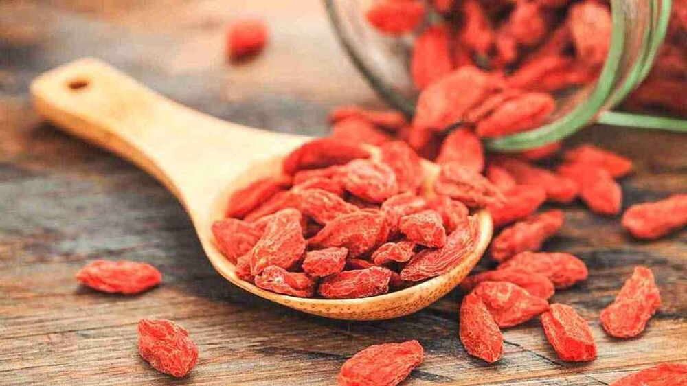 Producator Goji plante, butasi, fructe