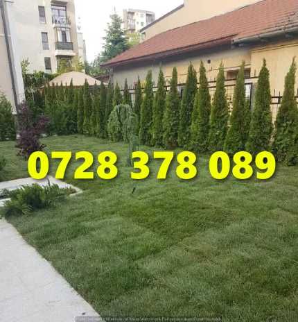 Gazon rulou Sistem de Irigare Oriunde in tara Calitate Extra