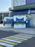 Листогиб Нарсле Естун 30