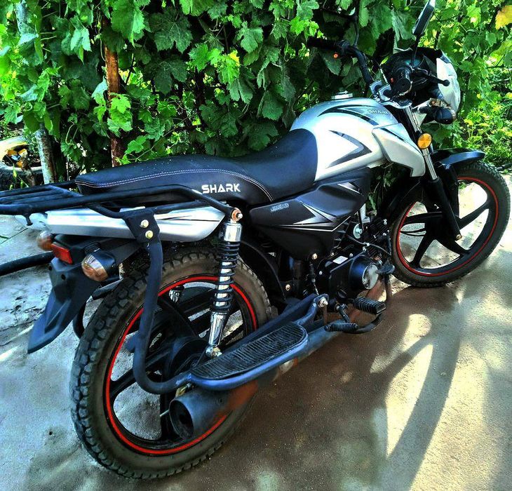 Альфа Шарк 125кб