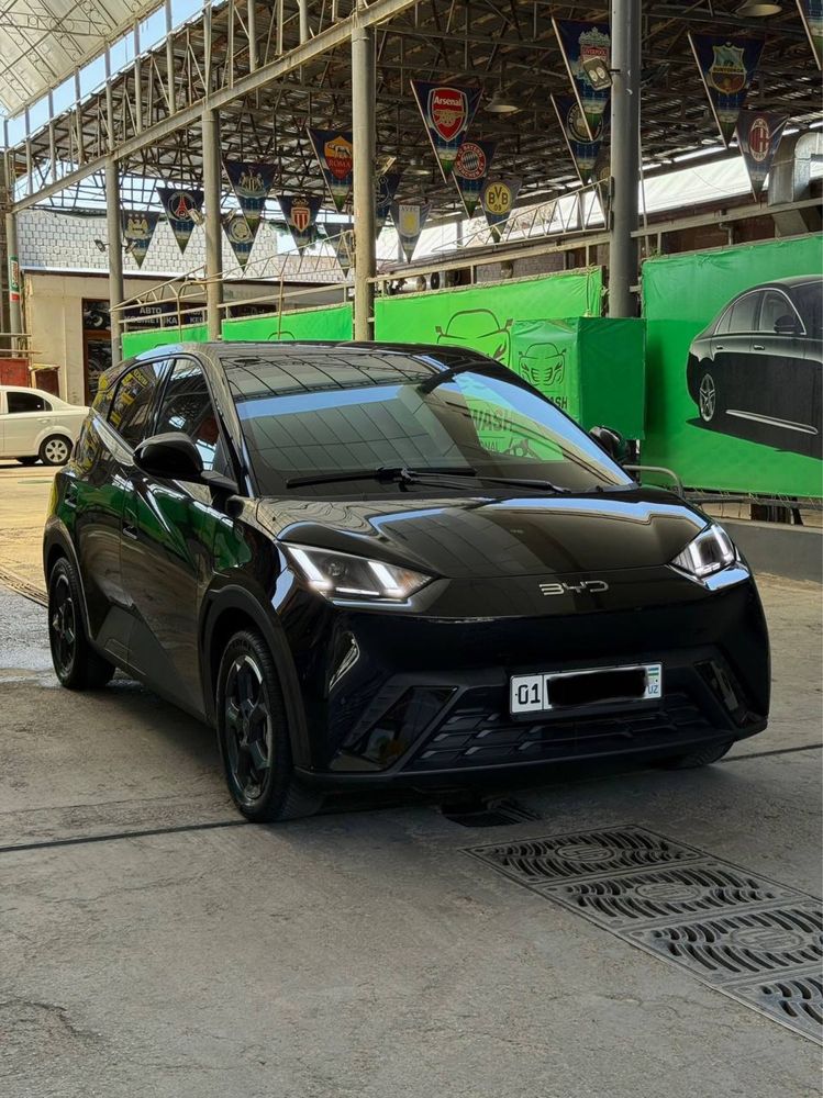BYD SEGULL Аренда выкуп