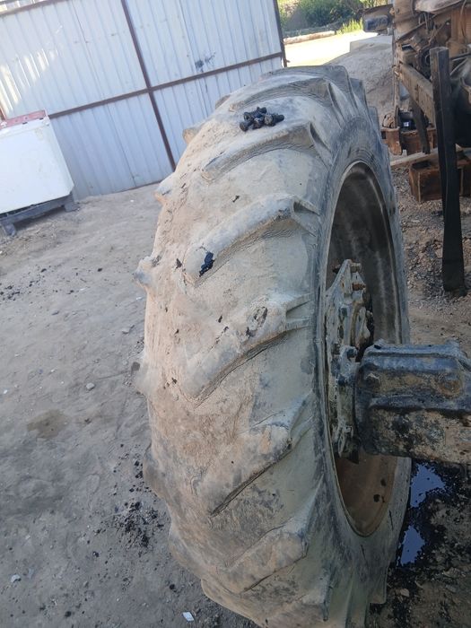 Деска болонлар сотилади