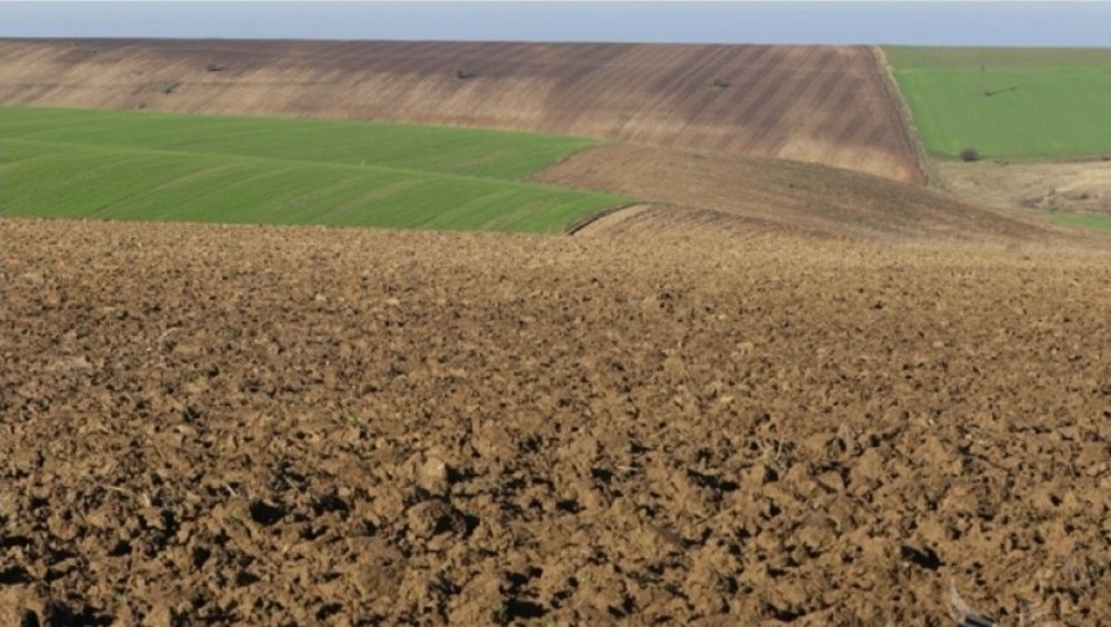 Земеделска земя село Златина, Провадия