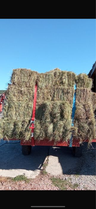 Otava 2025- Baloți dreptunghiulari