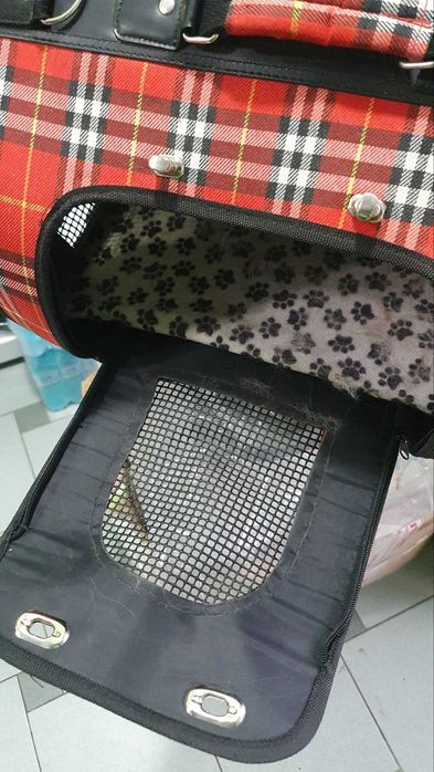 Транспортна чанта за куче, котка, заек + подаръци