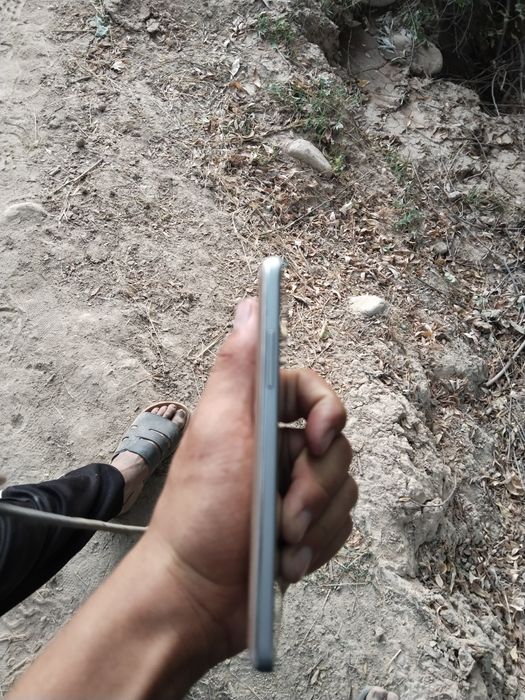 1oy kafolat beramz