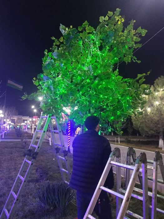 Президентские ёлки от 5 метров да 40 метров