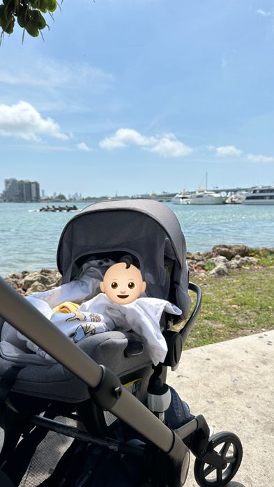 Bugaboo fox 5 + nuna by turtle