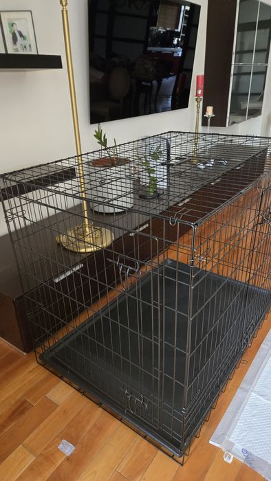 Вольер для собаки домашний