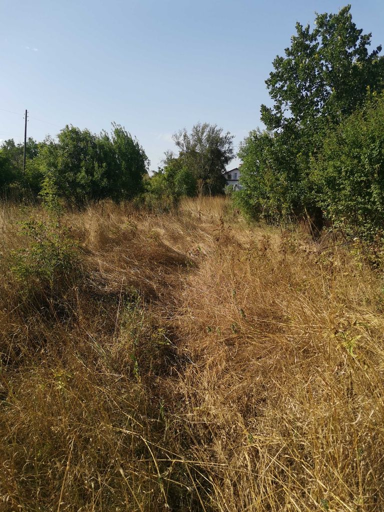 Продава се Парцел в Средец - 880 кв.м за 10 €/кв.м - Снимка #4