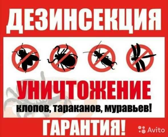 Дезинфекция Уничтожение тараканов клещей крыс комаров муравьев клопов