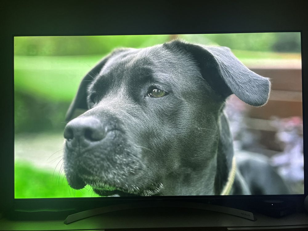 LG OLED 55” B7V телевизор