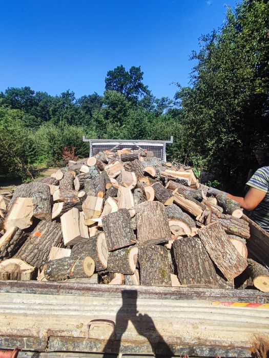 Дърва за огрев нарязани и нацепени и в чували
