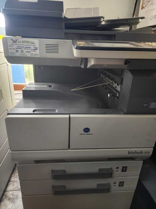 Xerox profesional alb negru