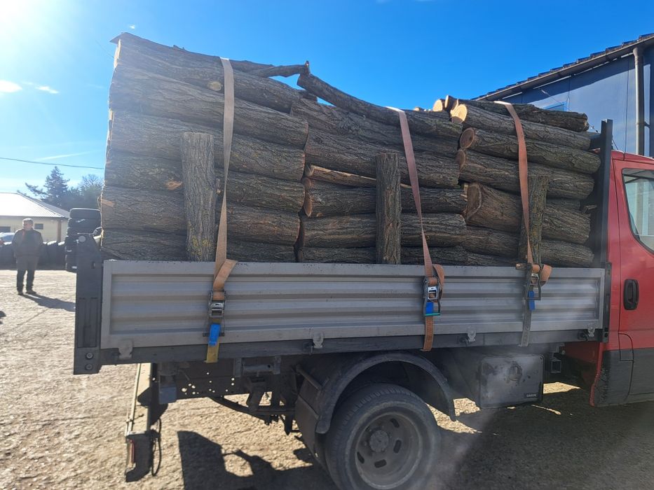 Lemne de vânzare fag și stejar salcâm