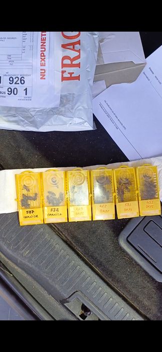 Vand 20 de familii in primavara cu regine F1