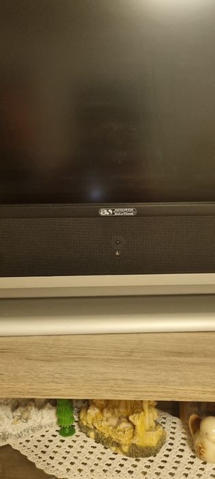 Televizor Acoustic solutions