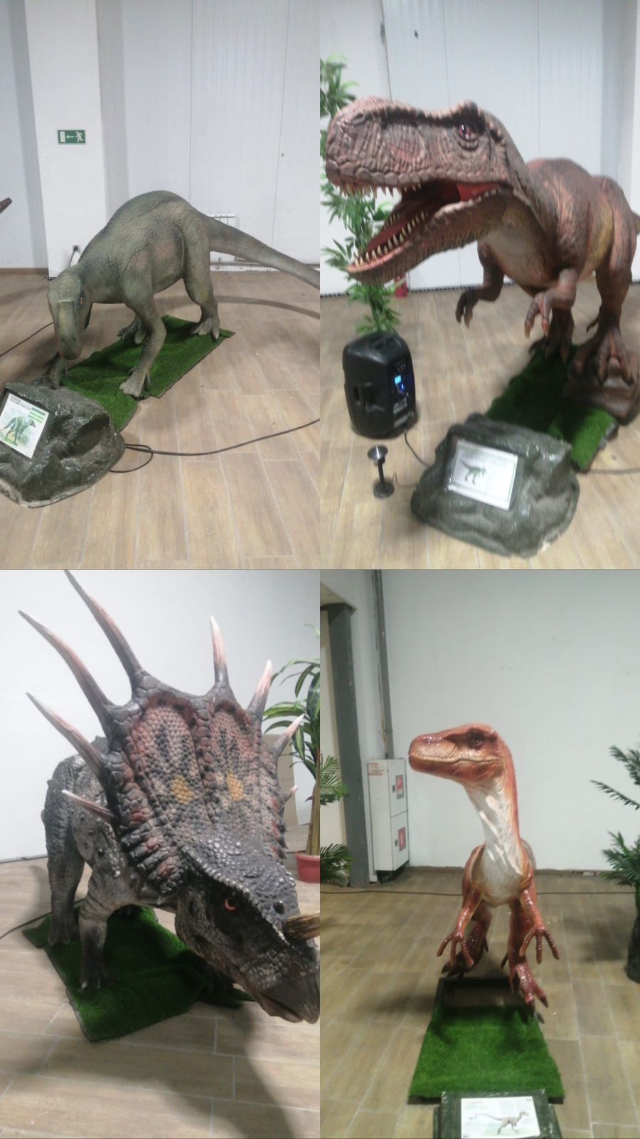 выставка движущихся динозавров