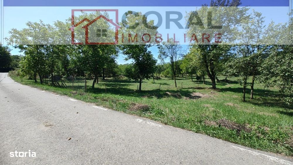 De vanzare teren intravilan Barsau