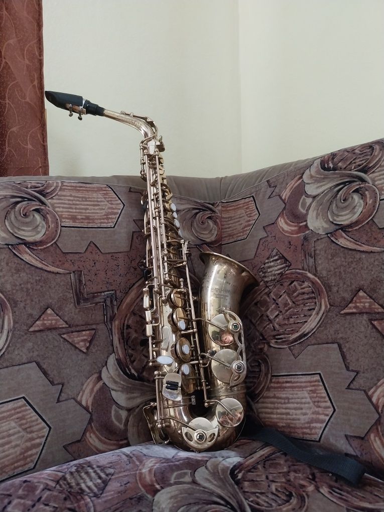 Saxofon earlham professional series 2