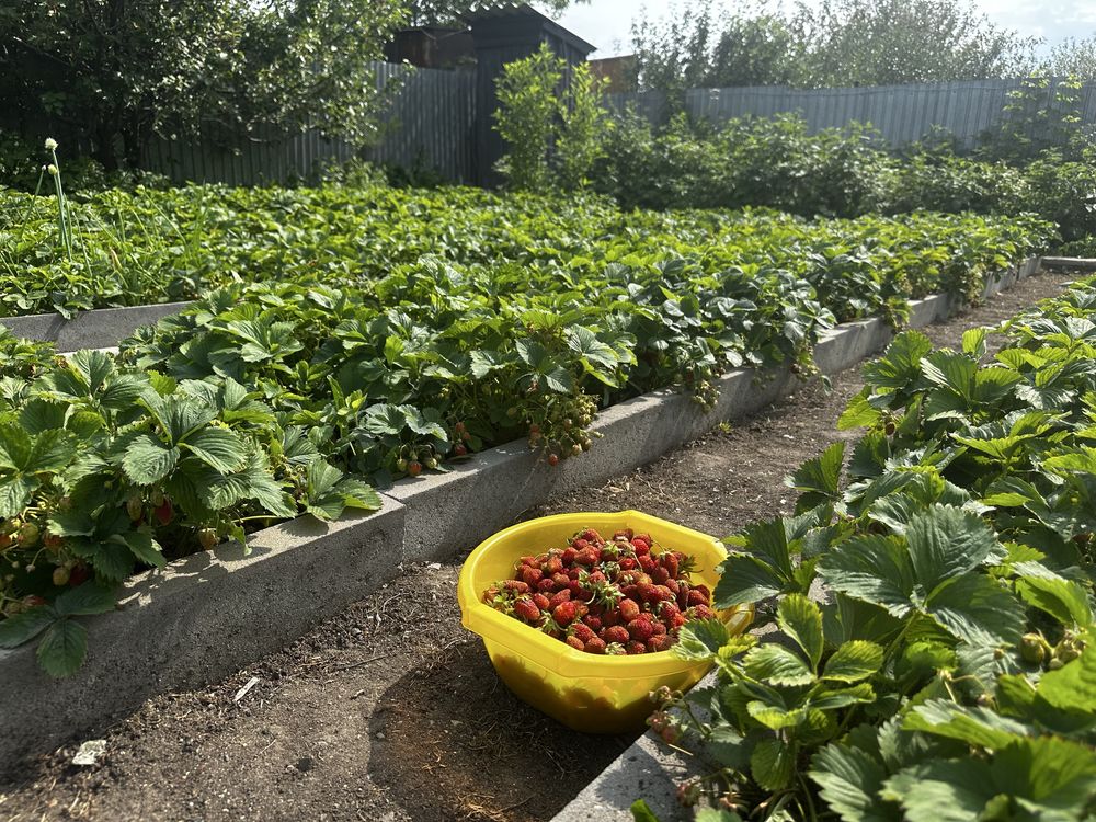 Продается дача на Федоровке