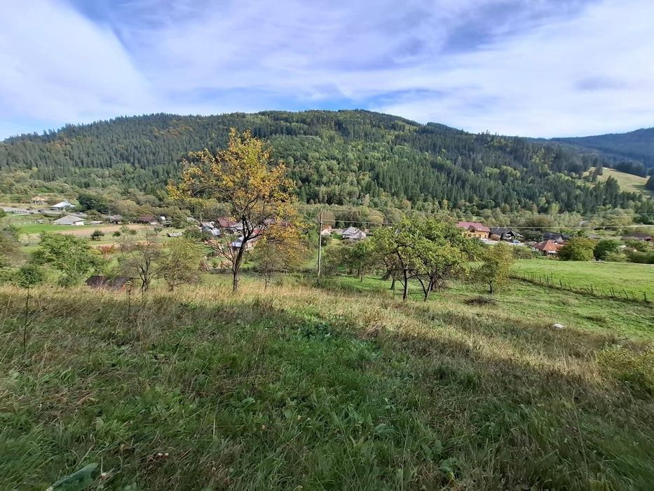 Casa si teren intravilan 5594 mp , utilități, livadă, Grințieș (Neamț)