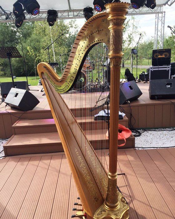 Арфа. Harp. Lyon and Healy. Оркестров из богатого дома Чикаго.