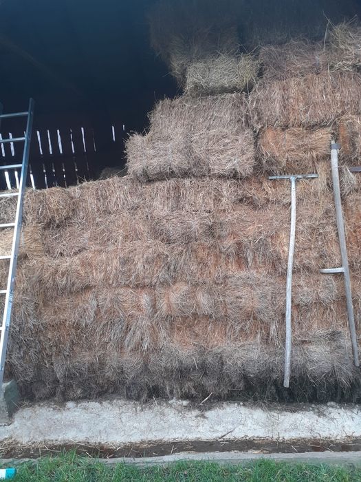 Vând 100 de baloți de fân