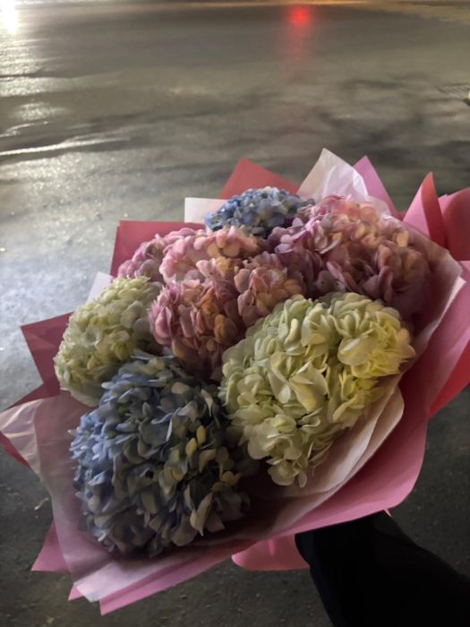 Гортензия 7 ветка свежий