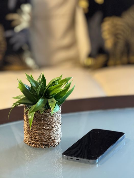 iPhone 13 Pro Max - Sierra Blue