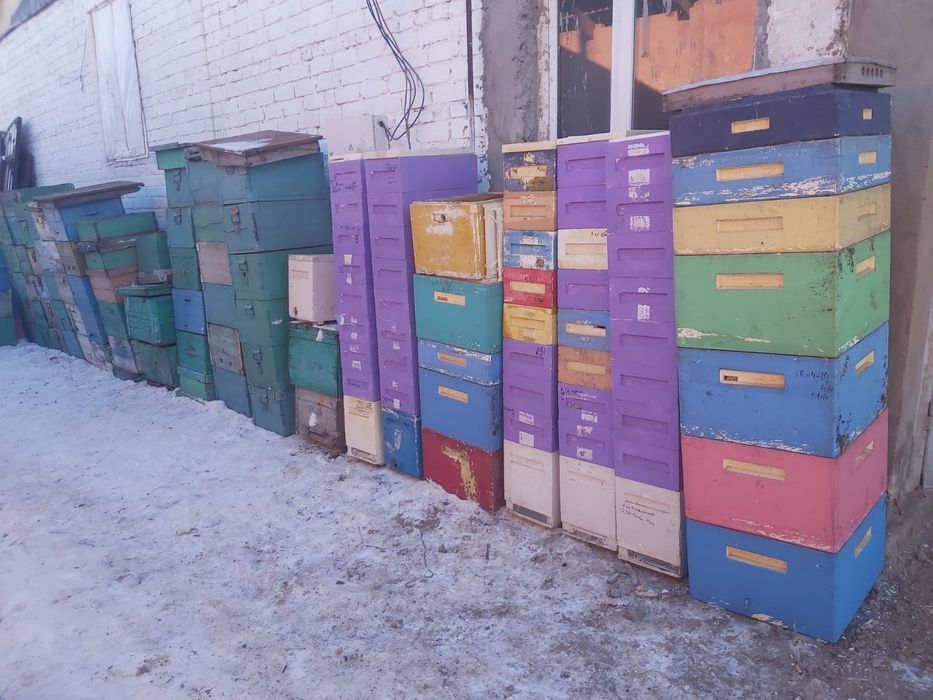 Продам улья,пчёл.Цена договорная.