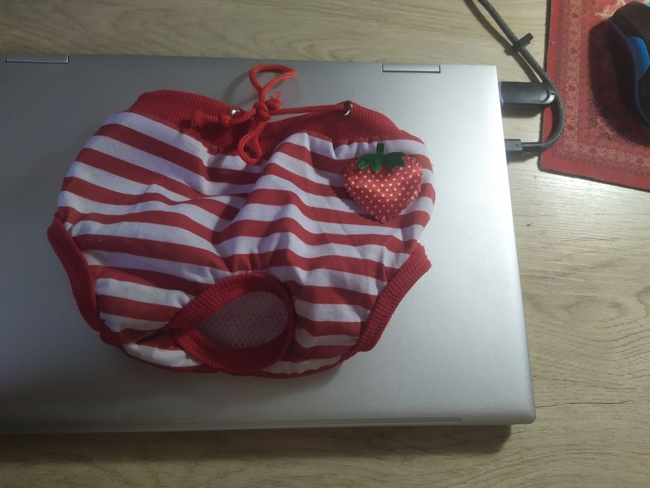 Трусы для собак мелких и средних пород