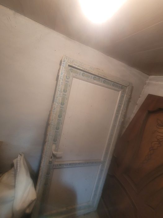 Пластиковый дверь