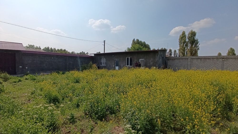 Майский 8,3соток,2 хона+кухня+санузел уйни ичкарисида,80% битган,