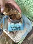 Чисто нови бутала с пръстени за москвич 4 бр.