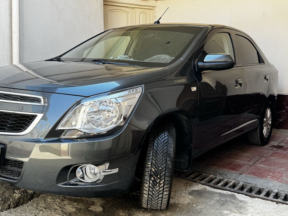 Cobalt mokriy 2022