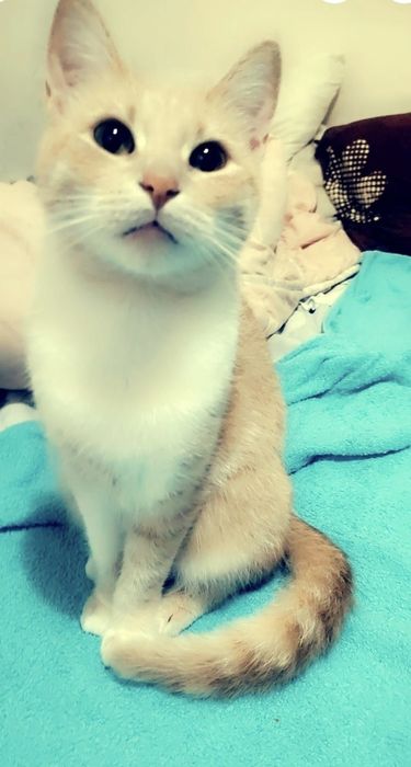 Bella și Pitic, mamă și fiu