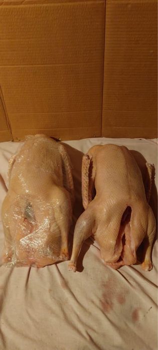 Мясо гуся-1 кг 3000 тенге