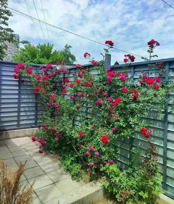 Продам часть отдельно стоящего трёхкомнатного  благоустроенного  дома.