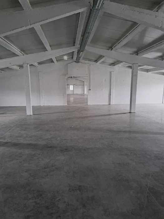 Inchiriez hala pentru depozitare