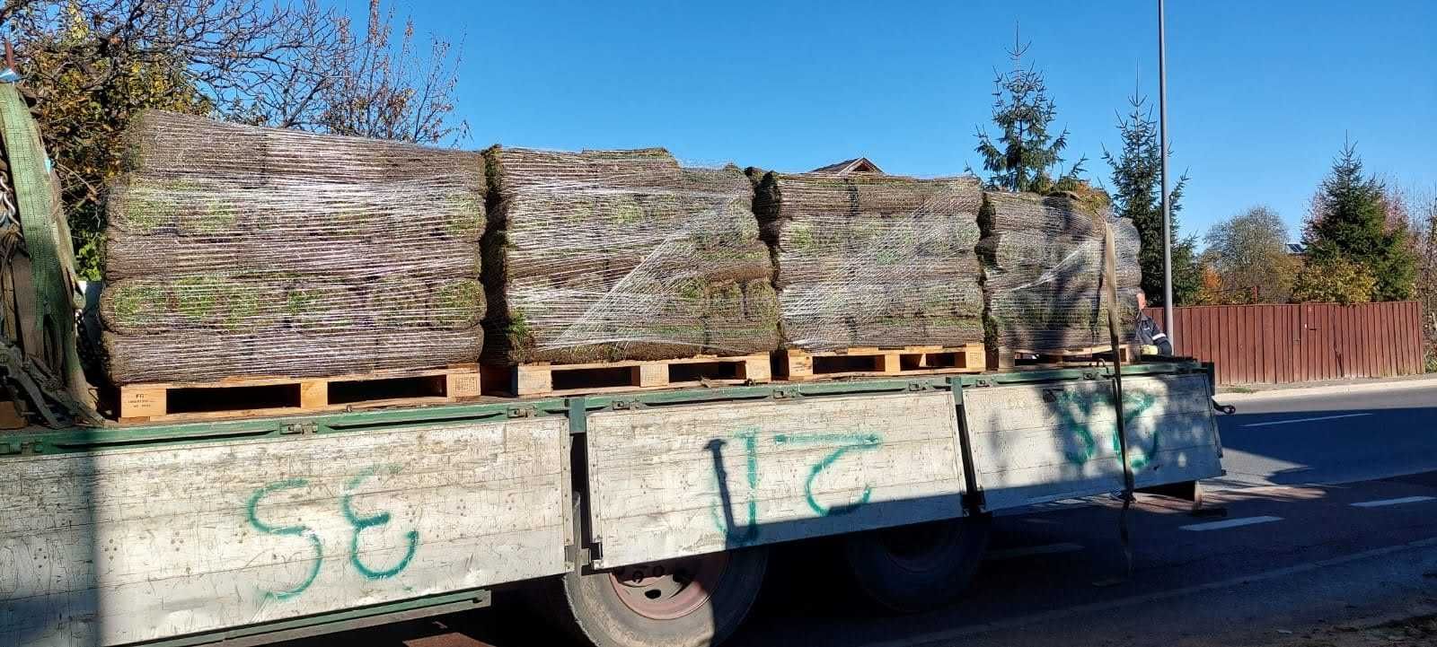 Montare rulouri gazon/ gazonare / amenajare gradini, spatii verzi