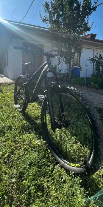 Bicicleta Dartmoor Hornet