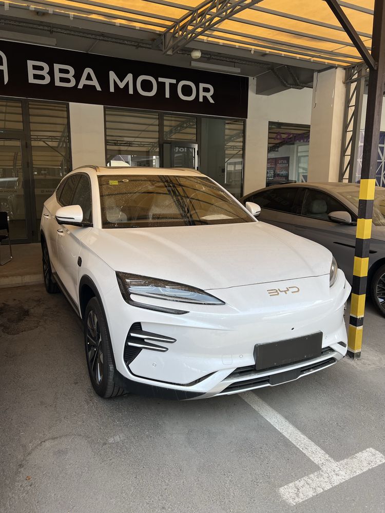 Byd chempion smart