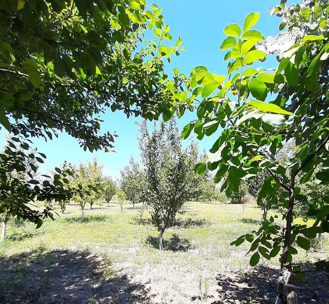Продава се Къща в с. Съединение, Област Търговище - 42 кв.м за 304 €/кв.м - Снимка #10