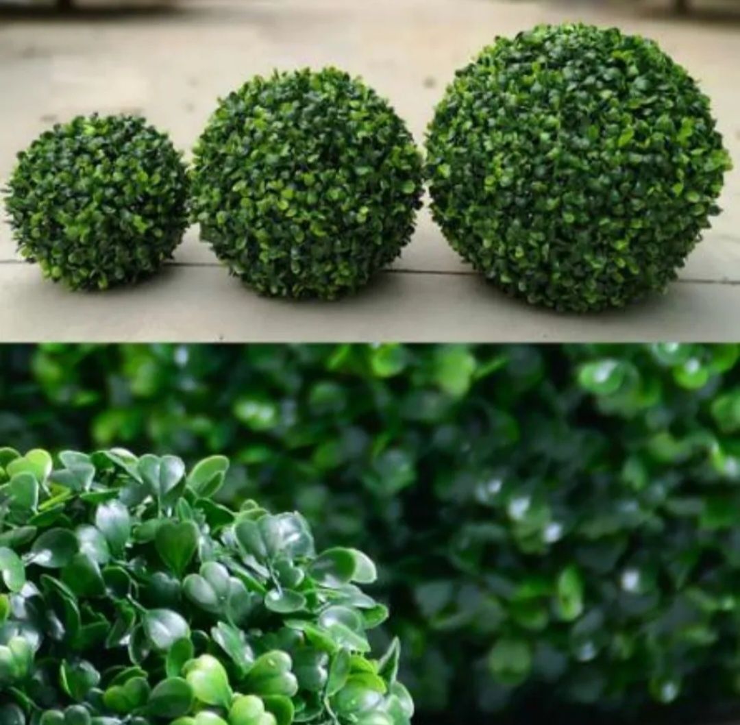 Sfera bila buxus artificial decorativ tratat UV