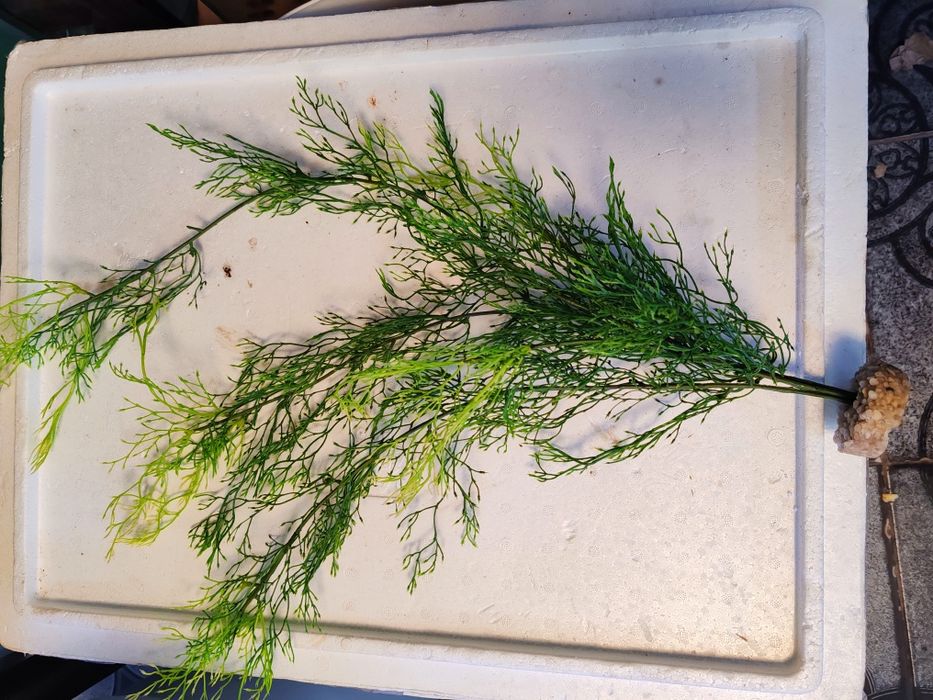 Planta artificiala de 70 cm înălțime cu greutate