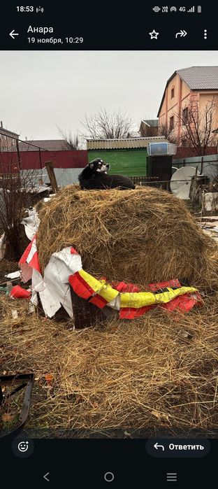 Рулон  10мын тенге .рулон 10тыч тенге