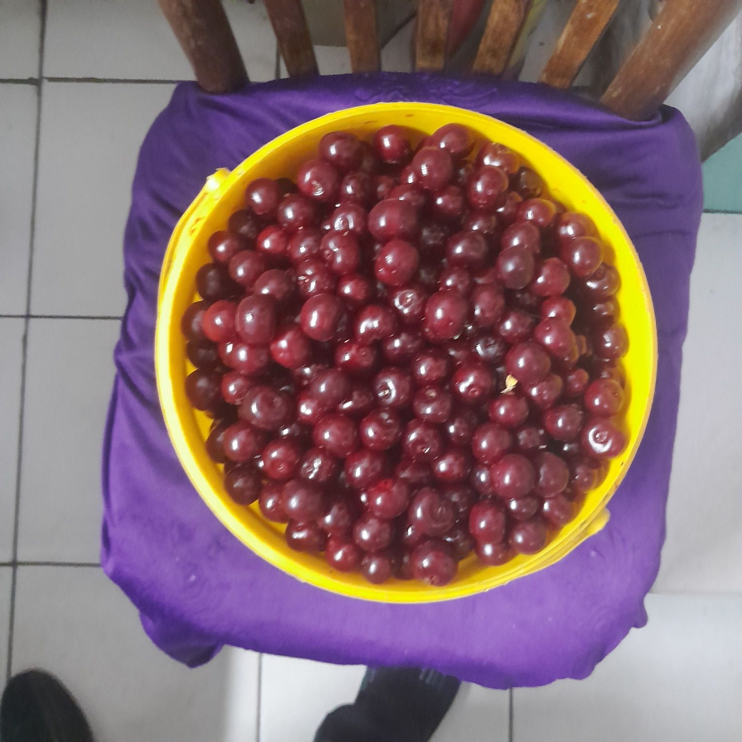 Продам свежую данную вишню 6500т