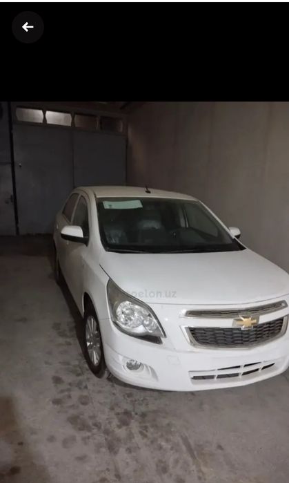 Style MCM Yangi Model Oq